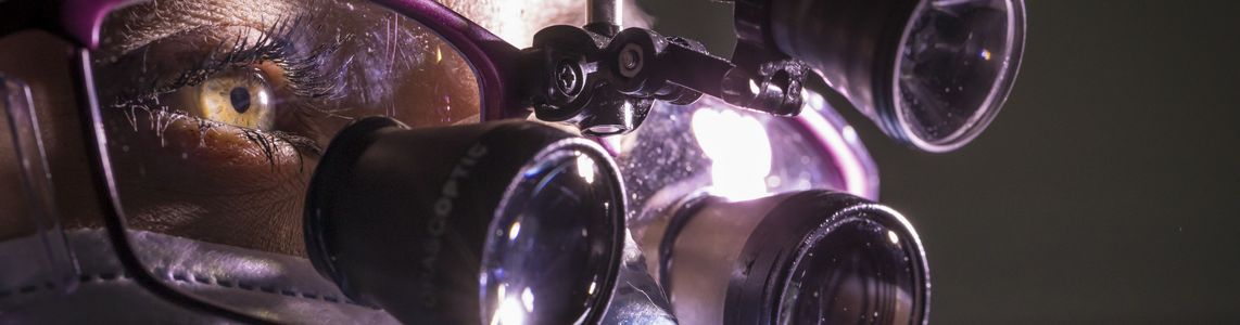 Dentistry / Prosthetics & Implants